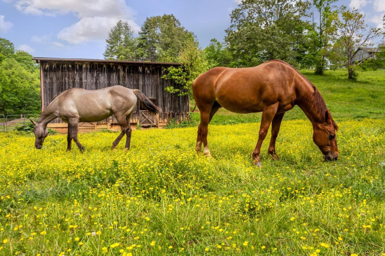 The Inn At Amaris Farms Weaverville Экстерьер фото